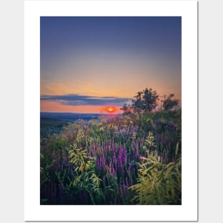 Summer sunset over meadow Posters and Art